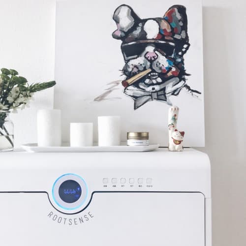 根元智能鞋柜护理机用户家中拍照